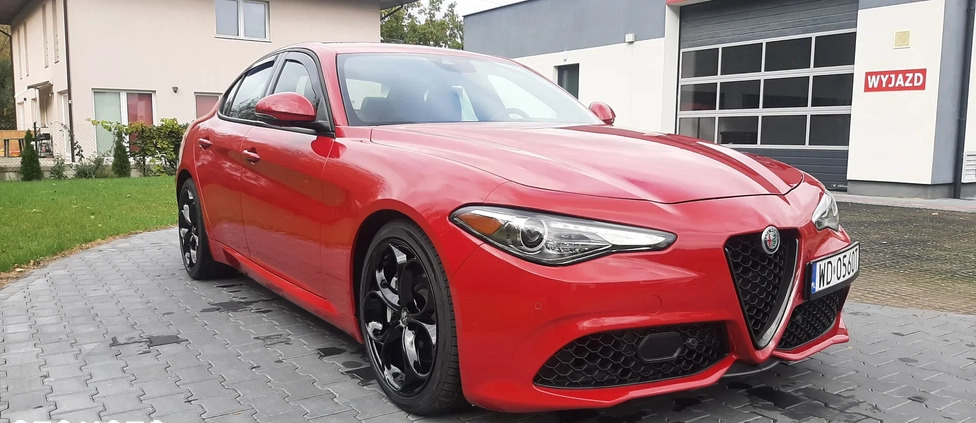 Alfa Romeo Giulia cena 115900 przebieg: 19000, rok produkcji 2022 z Warszawa małe 562